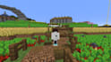 coach you in minecraft building,pvp and tips