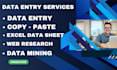 data entry, copy paste google excel sheet web reseach