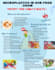 design eye catching posters and newspaper articles