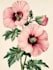 create amazing botanical art illustratio