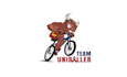 design top quality classic bike jersey logo