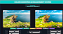 design and develop modern websites using HTML, CSS, javascript, react