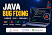 develop and debug java programs and projects