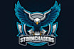 design awesome style batter fly bird flying mascot logo
