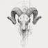 create a detailed black and white tattoo illustration
