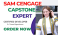 do your sam cengage, capstone, simnet projects in ms access, word, ppt