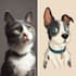 create amazing disney pet portrait