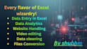 do data entry excel and also handle websites data conversion
