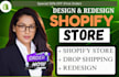 high,converting shopify store, dropshipping ,shopify website