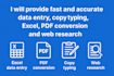 provide fast and accurate data entry copy typing excel PDF conversion