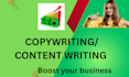 write SEO optimized content and sales copy