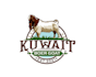 create wonderful and excellent goat logo design