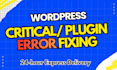 fix wordpress errors, wordpress issues, fix wordpress immediately