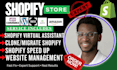 shopify virtual assistant clone edit shopify website maintenance off page seo