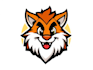 design a unique cartoon mascot logo