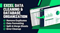 professionally clean and organize your excel database
