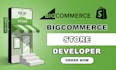 bigcommerce store design and redesign, SEO, product listing