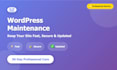 maintain and optimize your wordpress site for performance