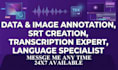 do data annotation, image annotation, subtitle creation, transcription