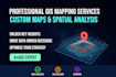 expert gis mapping and spatial data visualization