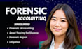 perform forensic accounting for divorce, court cases, legal dispute, fraud audit