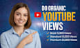boost your video with real youtube views