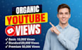 deliver fast and safe real youtube views