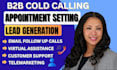 do professional  b2b and b2c cold calling, appointment settings