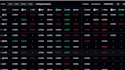 create solana crypto arbitrage bot, solana trading bot, volume bot, crypto bot,