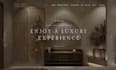 design and develop an elegant website for your brand