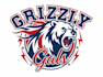 design a professional modern grizzly bear logo
