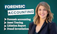 do forensic accounting, fraud investigation and court ready financial report