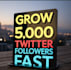 grow 5,000 twitter followers fast