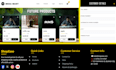 create full professional website