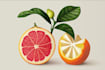 illustrate digitally realistic fruits or veggies