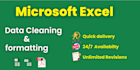 clean, sort, organize, merge, and format excel and CSV data professionally