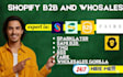 create your shopify b2b wholesale store, german native
