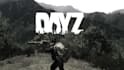 do dayz server setup, dayz mod, dayz scripting, dayz assets, dayz clothing