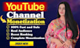 do promotion for youtube channel monetization