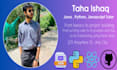 teach you java coding, python teacher, javascript teacher, online tutor