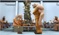 do 3d pixar animation,3d animation video, 3d disney animation, cartoon animation