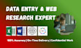be your professional data entry and web research expert