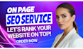 offer complete website onpage SEO and technical optimization