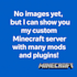 create and optimize your custom minecraft server