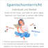 teach you spanish adapting to your needs