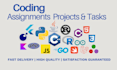 do coding assignments and projects in c cpp python lisp java