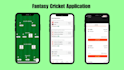 develop fantasy cricket app dream11