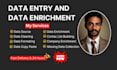 professional data entry and data enrichment service