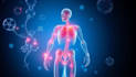 create anatomy, medical, and scientific illustrations