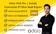 build develop odoo website install odoo customization odoo ecommerce saas design